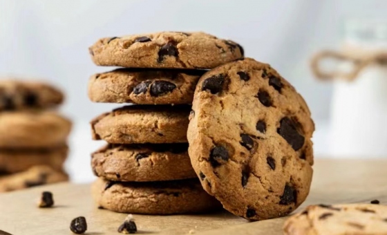 365速发国际(中国)官方网站